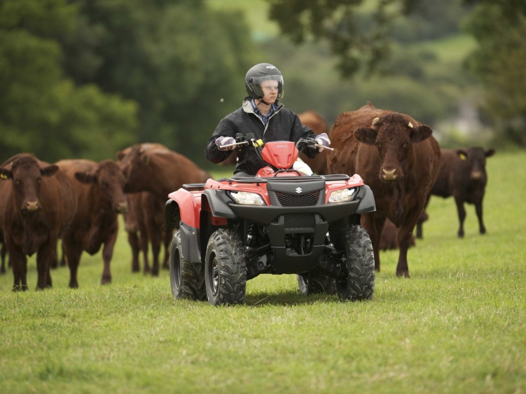 Фото квадроцикла Suzuki LT-A500XP KingQuad